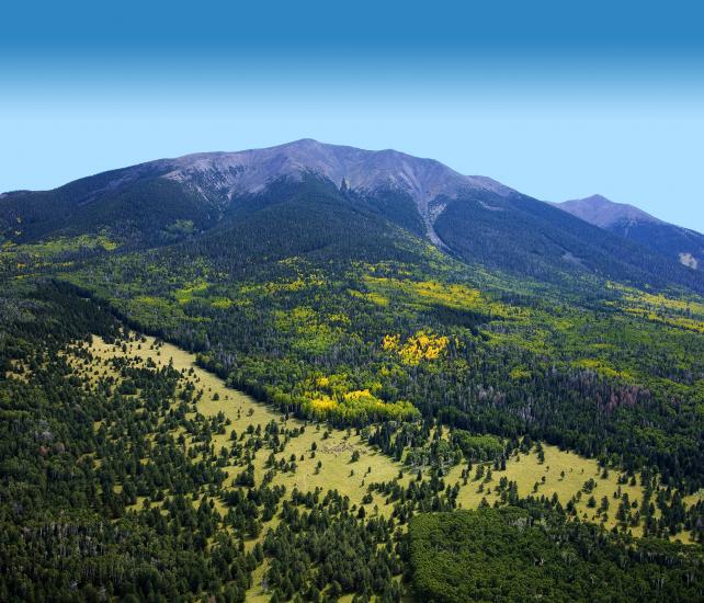 aerial view of humphrey peak on a sunny fall day in Flagstaff, AZ