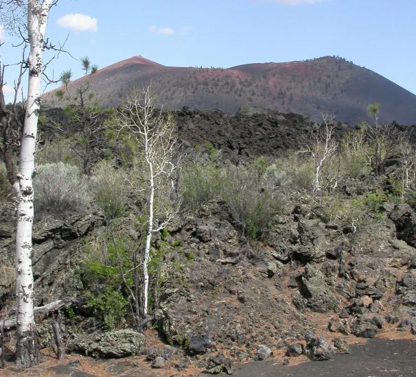 Scenic Drives & Day Trips From Flagstaff, AZ