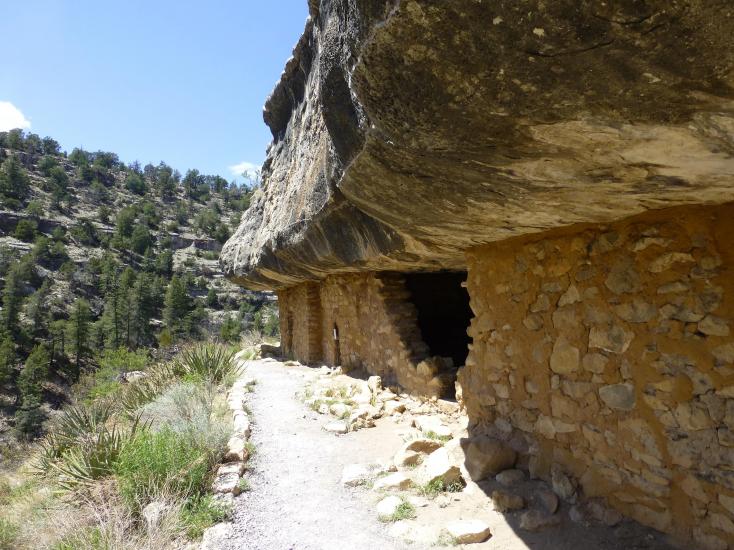 Top Places for Forest Bathing in Flagstaff, AZ - Discover Flagstaff