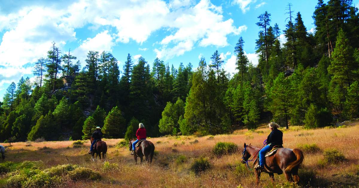 Horseback Riding - Flagstaff, Arizona CVB