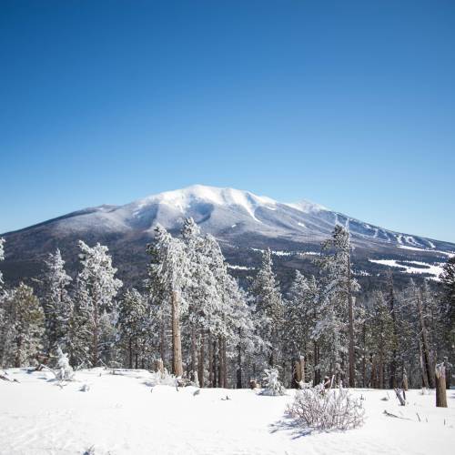 Arizona Snowbowl - Elevation, Prices & Hours Info - Discover Flagstaff