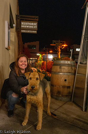 Our Favorite Dog-Friendly Destination - Discover Flagstaff